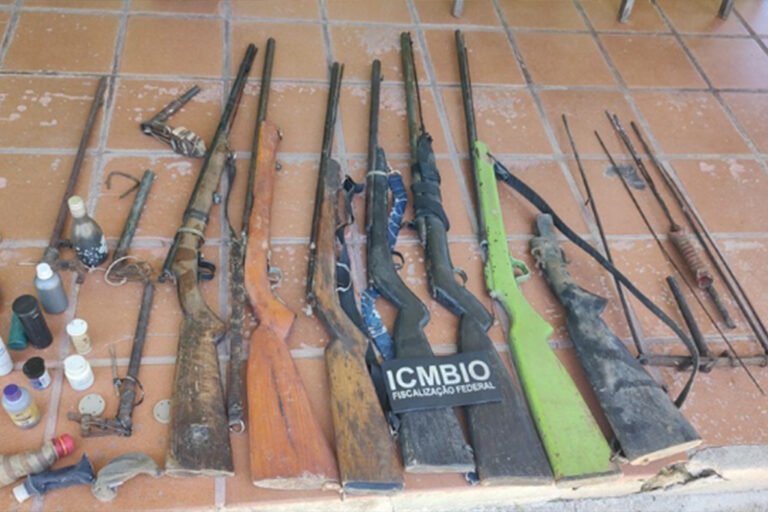 Armas de caça capturadas